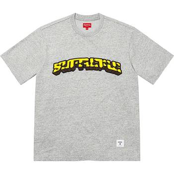 Chandails Supreme Block Arc S/S Top Grise | FR326WY